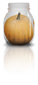 Jar Pumkin